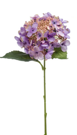 Hydrangea spray purple 50cm