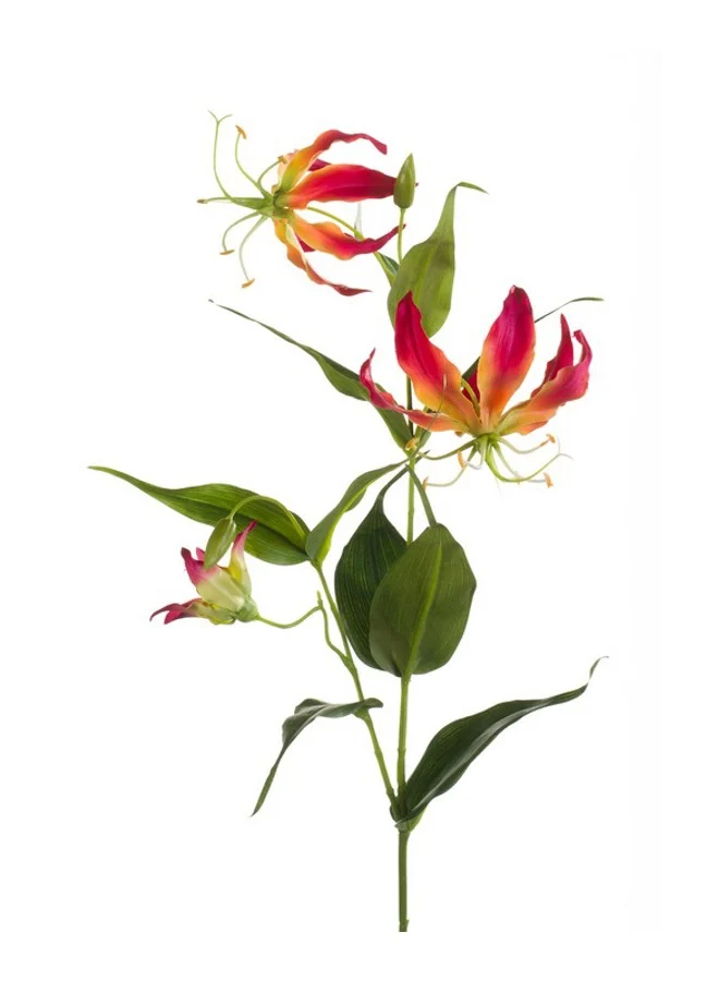 Gloriosa tak beauty 75cm - Zijden bloem - Kunst bloem -duurzaam