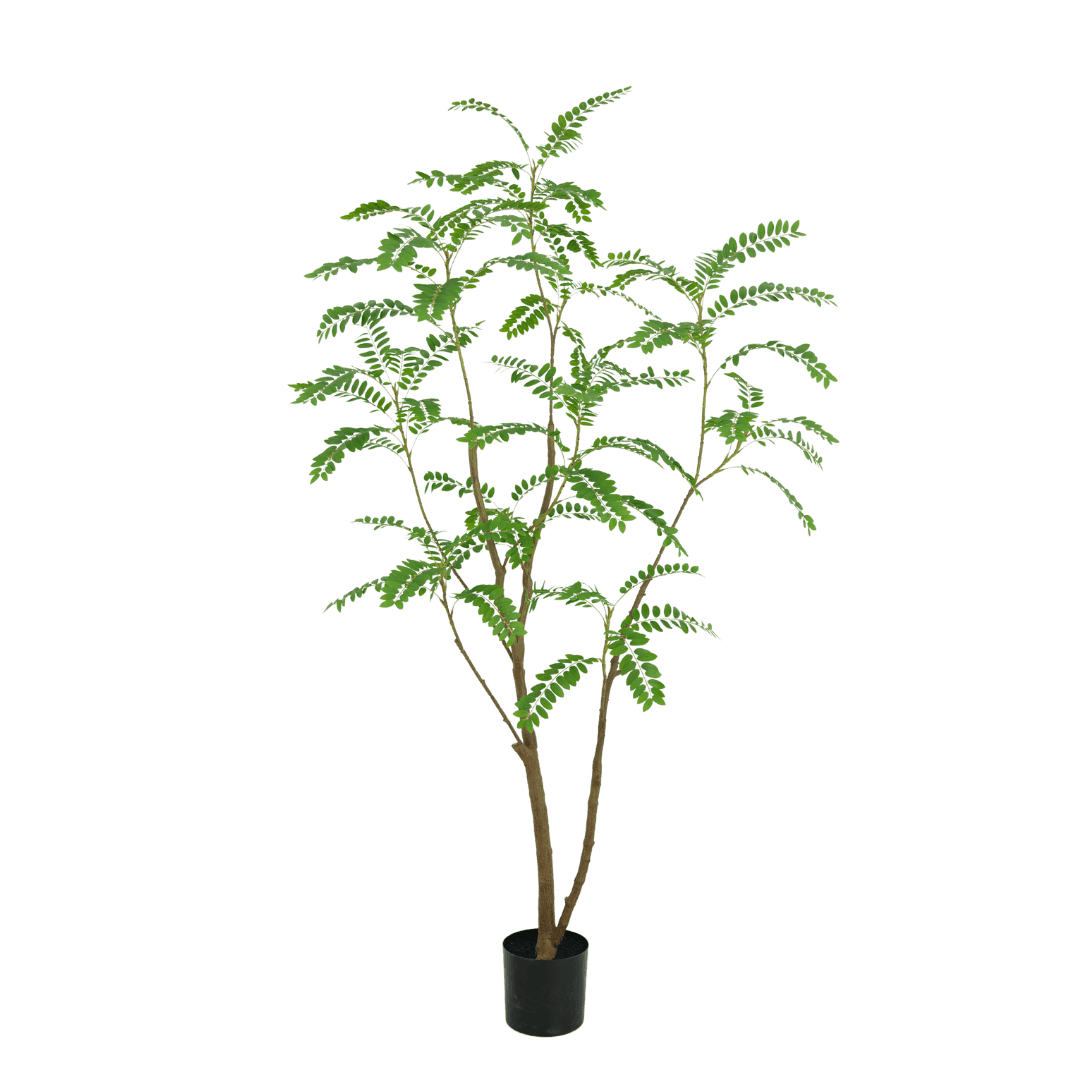 Mimosa boom - 210cm - kunstplant - zijdenplant - Luxe zijden bloemen boeket - Kunstbloemen van Sharon Flowers