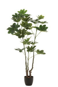 Money Tree Pot Plastic Green L