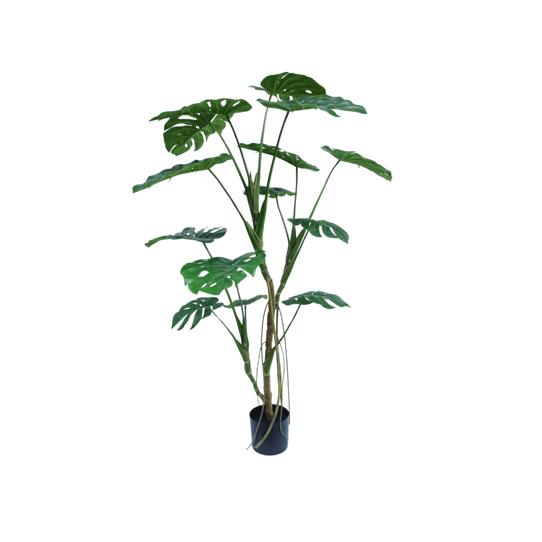 Monstera boom 150cm - Luxe zijden bloemen boeket - Kunstbloemen van Sharon Flowers