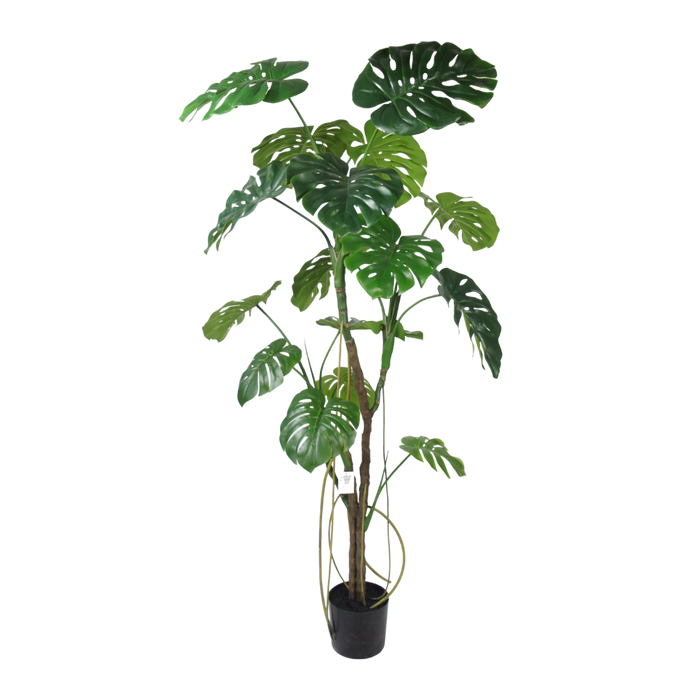 Monstera boom  - 180cm- kunstplant - zijdenplant