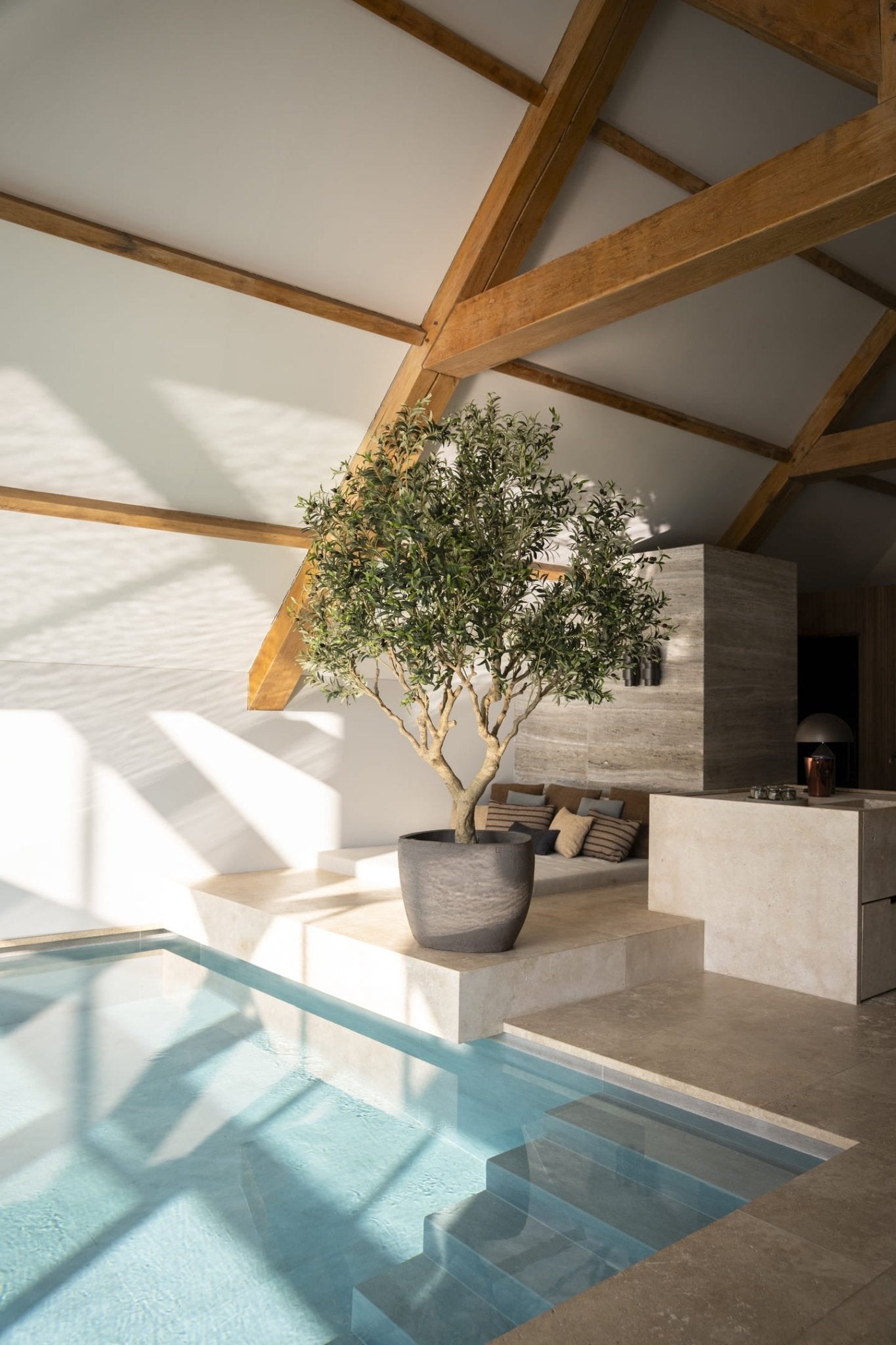 Olijf boom 250cm - Luxe zijden bloemen boeket - Kunstbloemen van Sharon Flowers