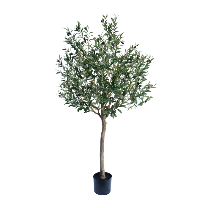 Olijf boom  - 180cm - kunstplant - zijdenplant