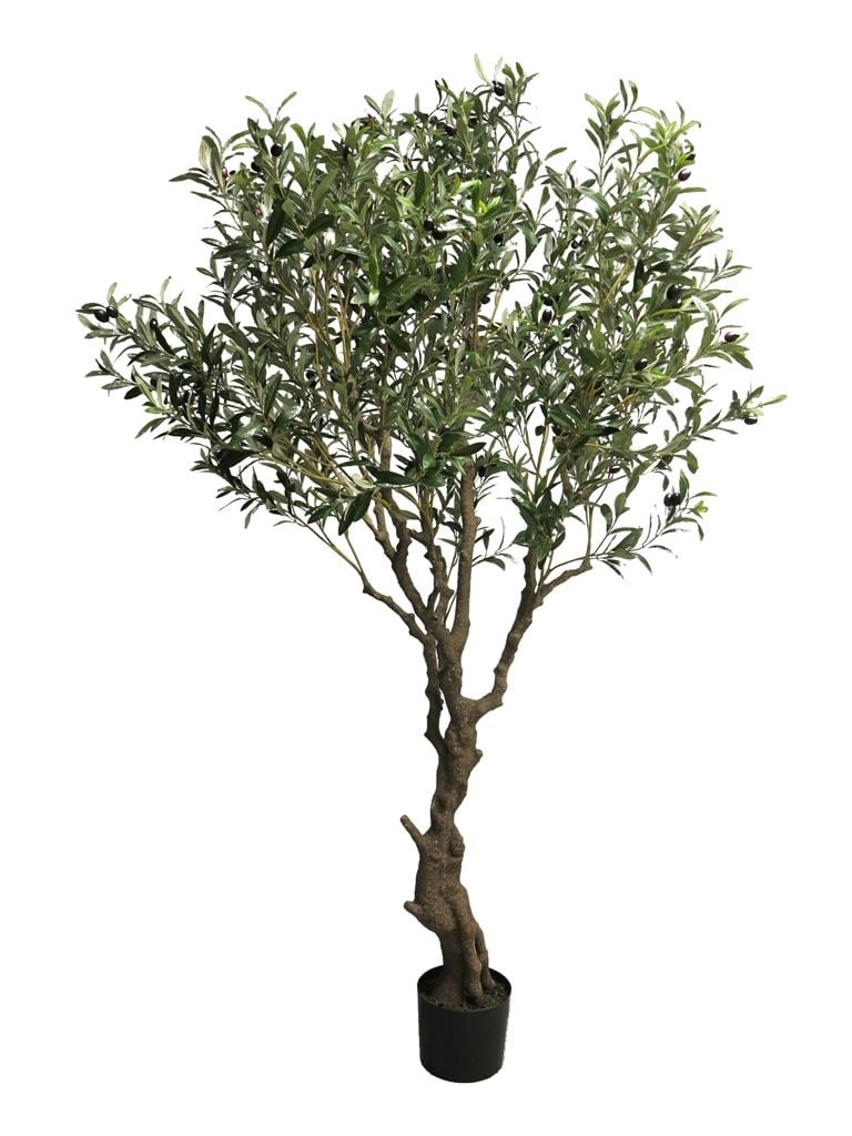 Olijfboom - 200cm - Luxe zijden bloemen boeket - Kunstbloemen van Sharon Flowers