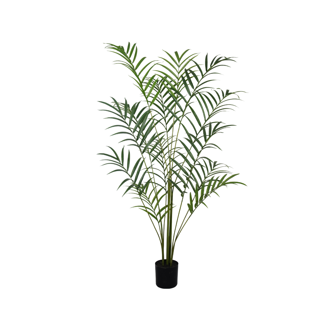 Palm boom  - 210cm - kunstplant - zijdenplant