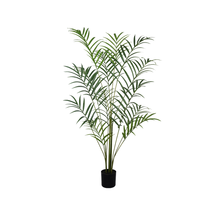 Palm boom  - 210cm - kunstplant - zijdenplant