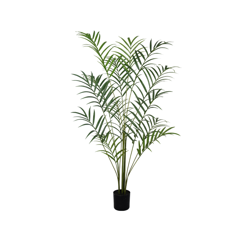 Palm boom  - 210cm - kunstplant - zijdenplant