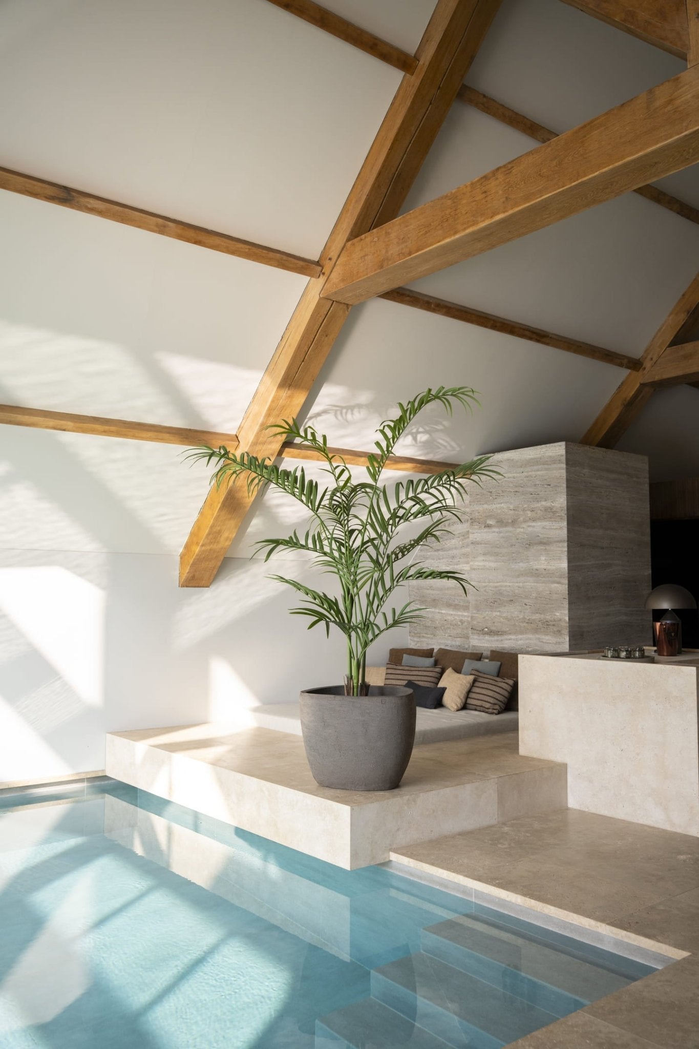 Palm plant 240cm - Luxe zijden bloemen boeket - Kunstbloemen van Sharon Flowers