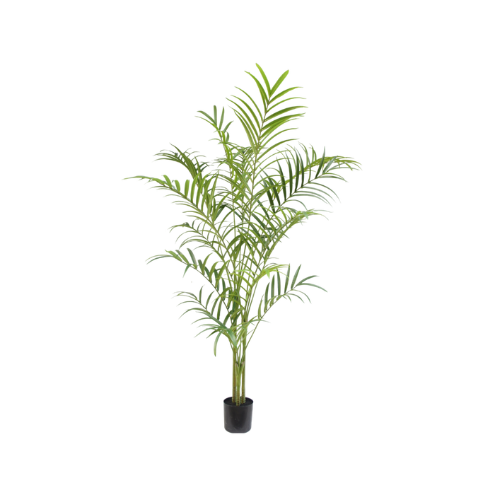 Palm boom  - 240cm - kunstplant - zijdenplant