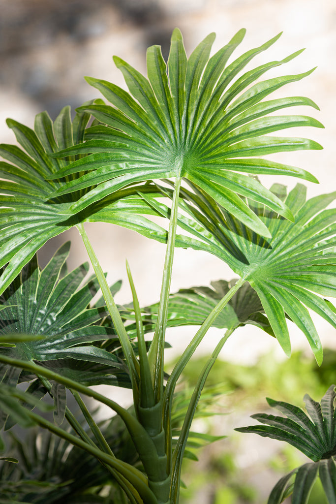 Palm Tree Fan In Pot Plastic Green