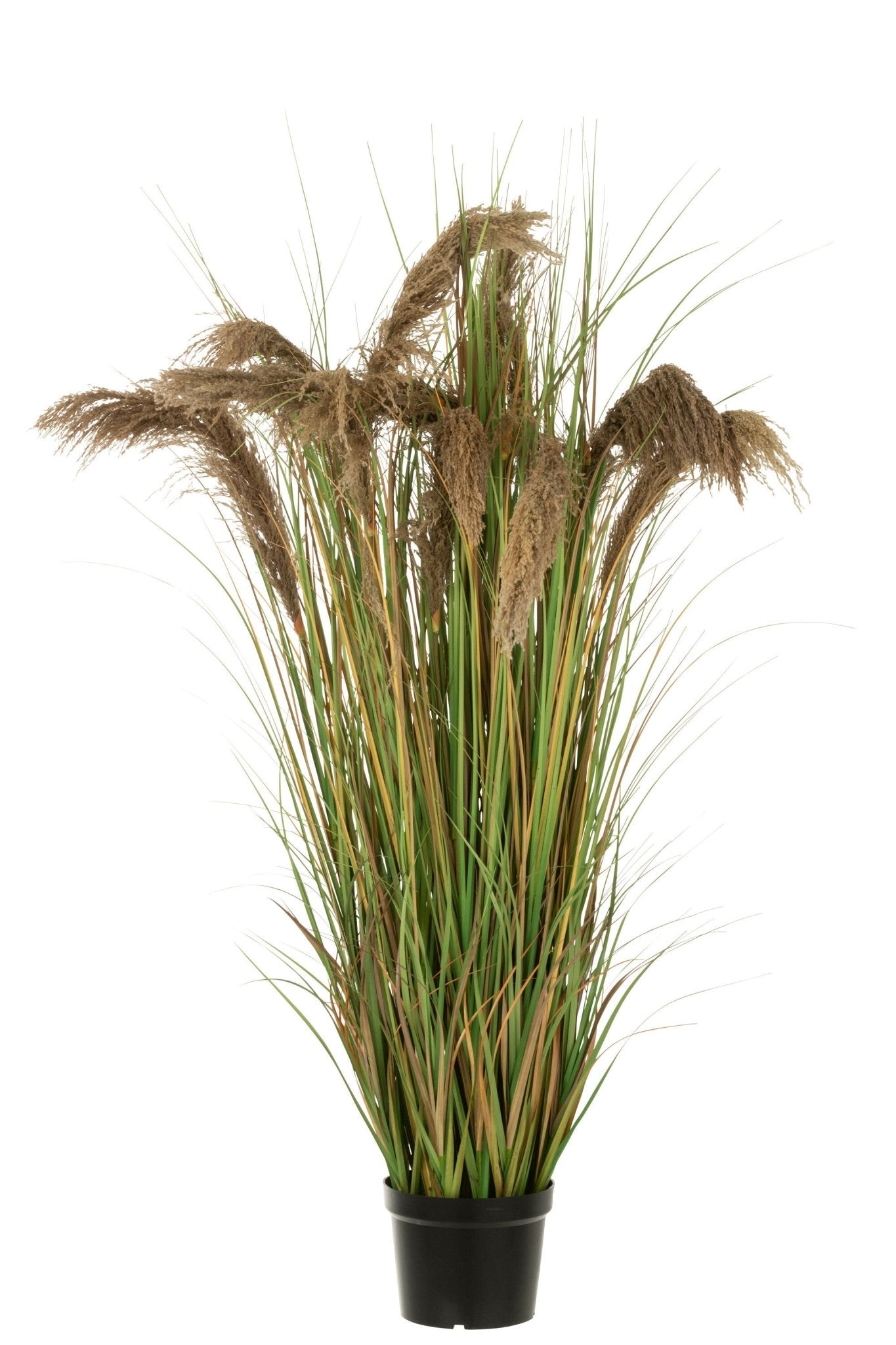 Pampas Grass 13 Heads In Pot Pvc Green/Beige Large - Luxe zijden bloemen boeket - Kunstbloemen van Sharon Flowers