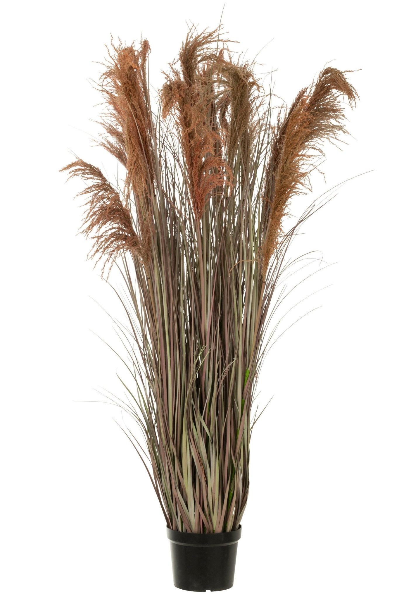 Pampas Grass 13 Heads In Pot Pvc Green/Orange Large - Luxe zijden bloemen boeket - Kunstbloemen van Sharon Flowers
