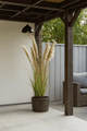 Pampas Grass 13 Heads In Pot Pvc Green/Orange Large - Luxe zijden bloemen boeket - Kunstbloemen van Sharon Flowers