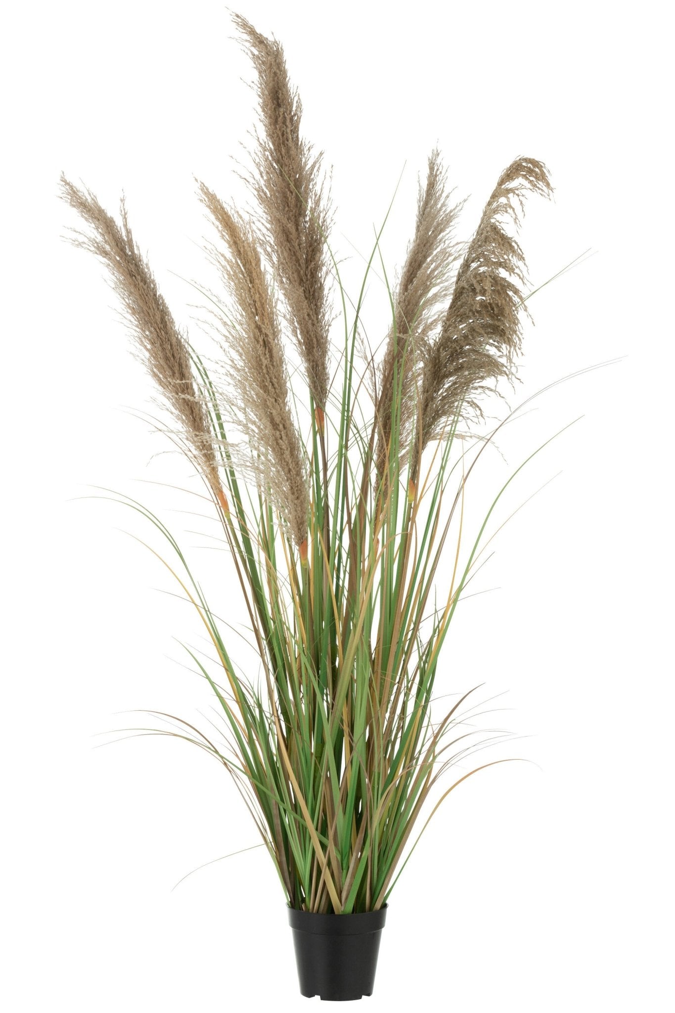 Pampas Grass 5 Heads In Pot Pvc Green/Beige Small - Luxe zijden bloemen boeket - Kunstbloemen van Sharon Flowers