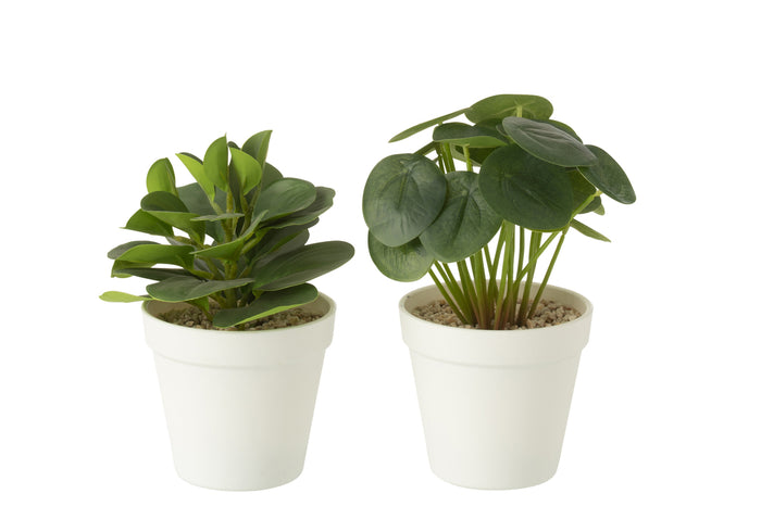 Plants In Pot Artificial Green Assortment Of 2