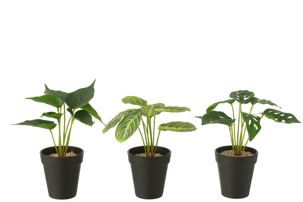 Plants In Pot Artificial Green Assortment Of 3