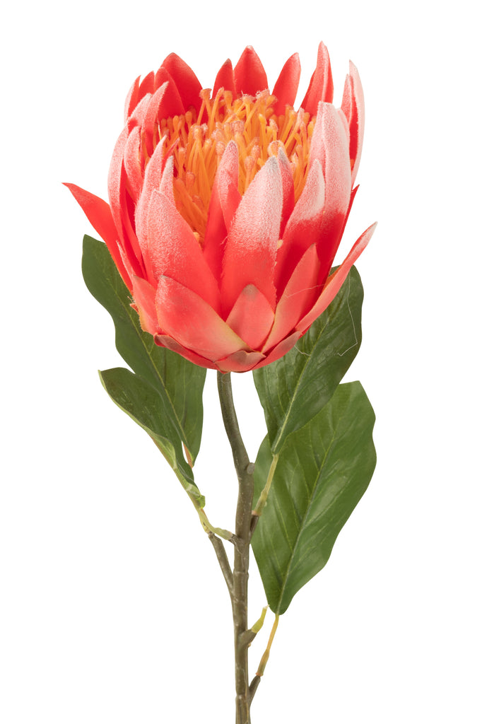 Protea Branch Plastic Dark Red