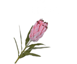 PROTEA STEEL ROOD 52 cm - Luxe zijden bloemen boeket - Kunstbloemen van Sharon Flowers