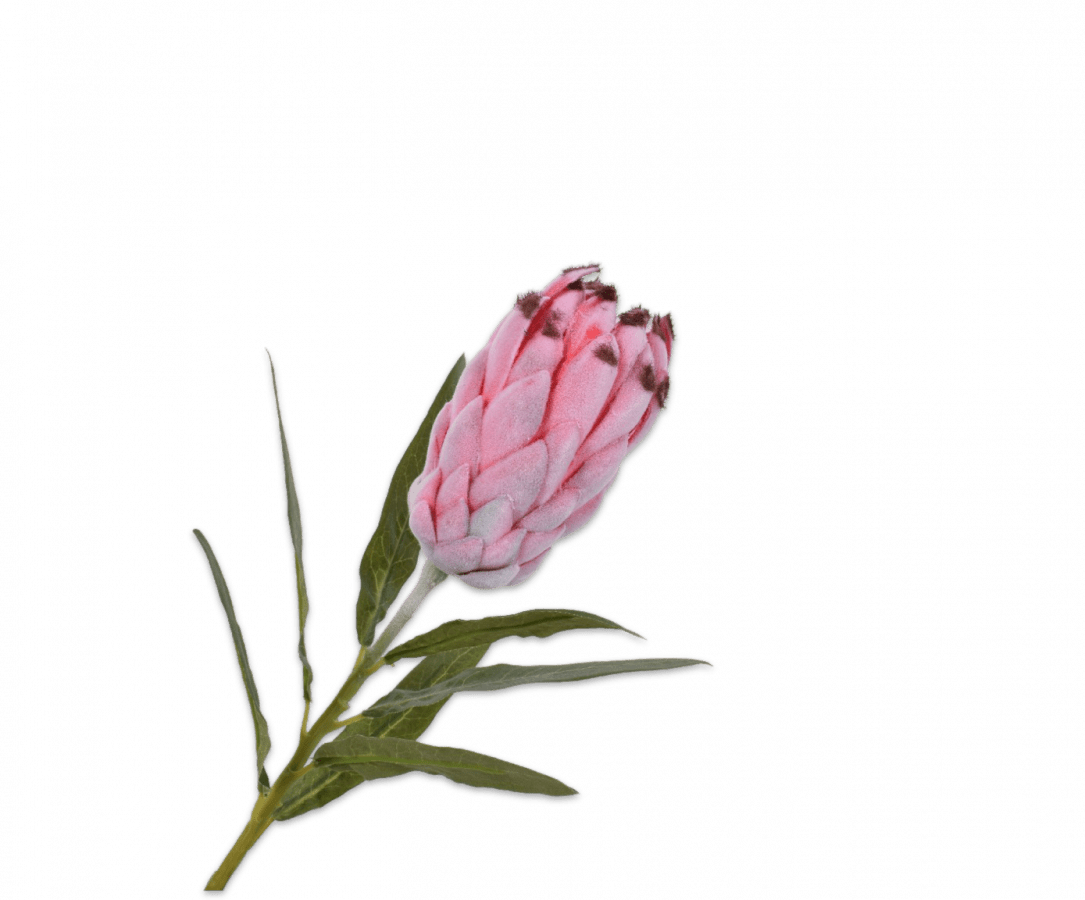 PROTEA STEEL ROOD 52 cm - Luxe zijden bloemen boeket - Kunstbloemen van Sharon Flowers