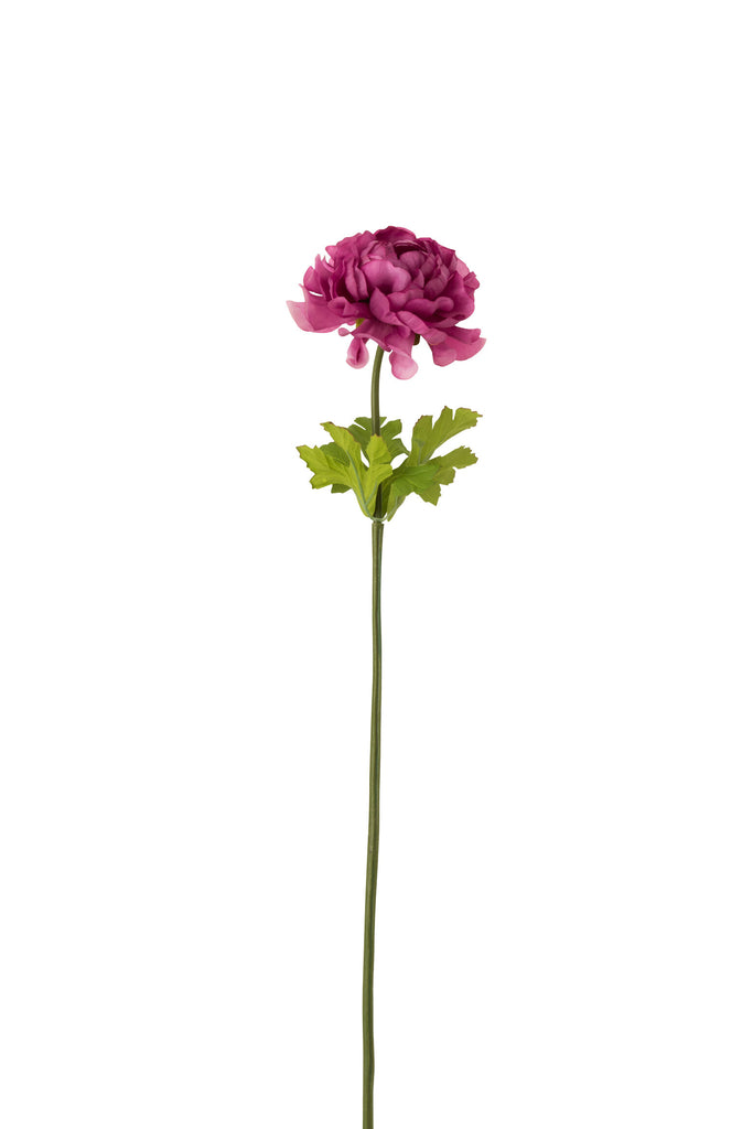 Ranunculus Plastic Dark Pink