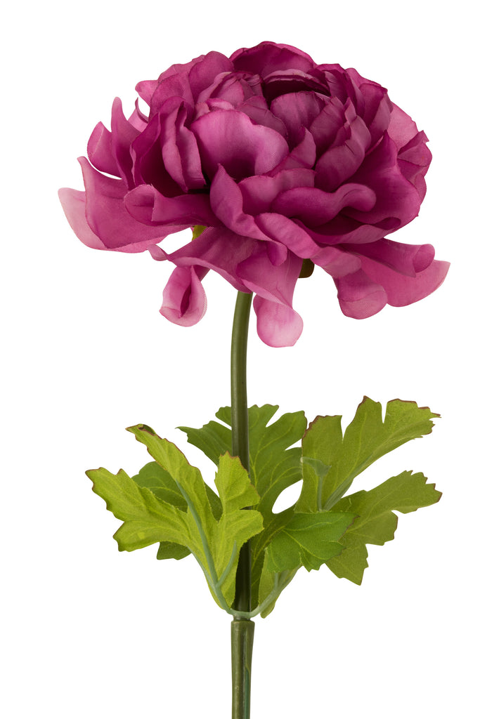 Ranunculus Plastic Dark Pink