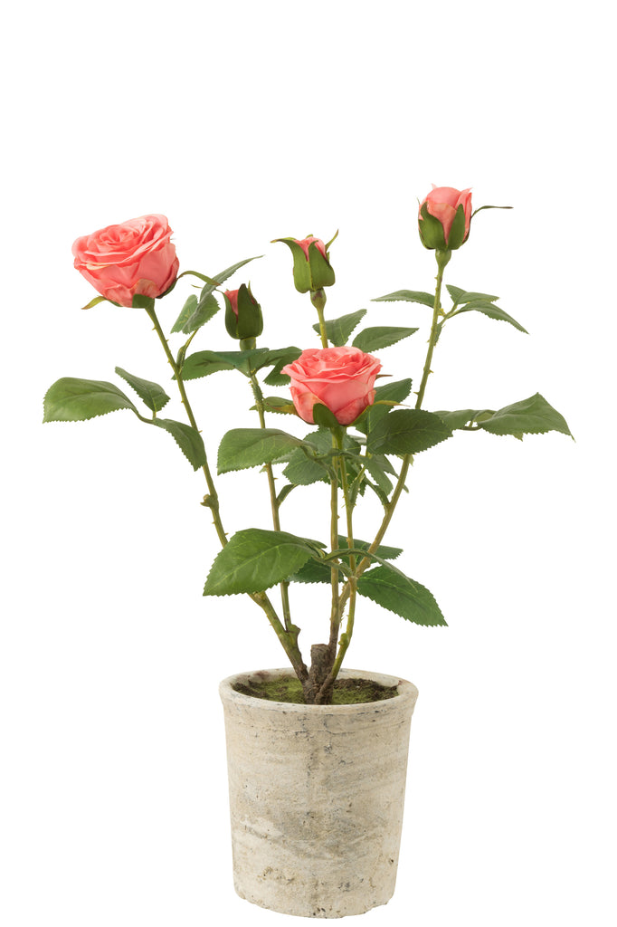 Rose 5 Heads In Pot Plastic/Textile Pink/Green