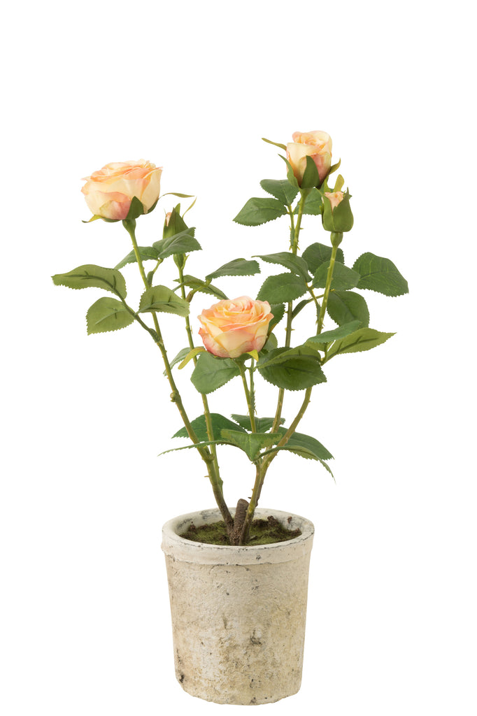 Rose 5 Heads In Pot Plastic/Textile Yellow/Green