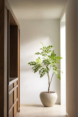 Sandalwood boom 180cm - Luxe zijden bloemen boeket - Kunstbloemen van Sharon Flowers