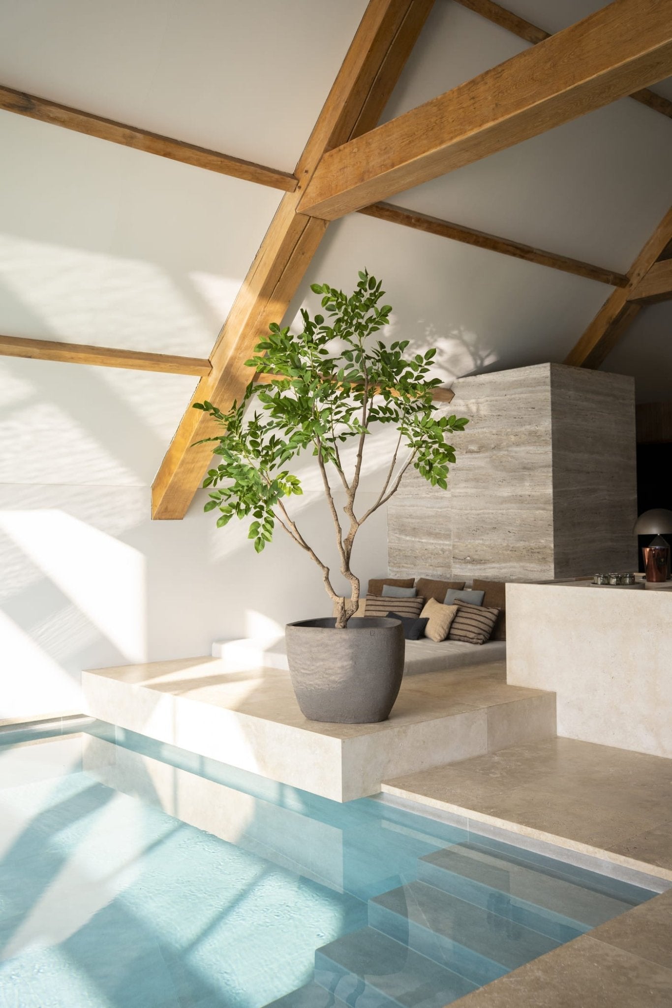 Sandalwood boom 240cm - Luxe zijden bloemen boeket - Kunstbloemen van Sharon Flowers