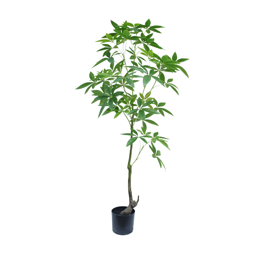 Schefflera boom 150cm - Luxe zijden bloemen boeket - Kunstbloemen van Sharon Flowers
