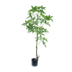 Schefflera boom 150cm - Luxe zijden bloemen boeket - Kunstbloemen van Sharon Flowers