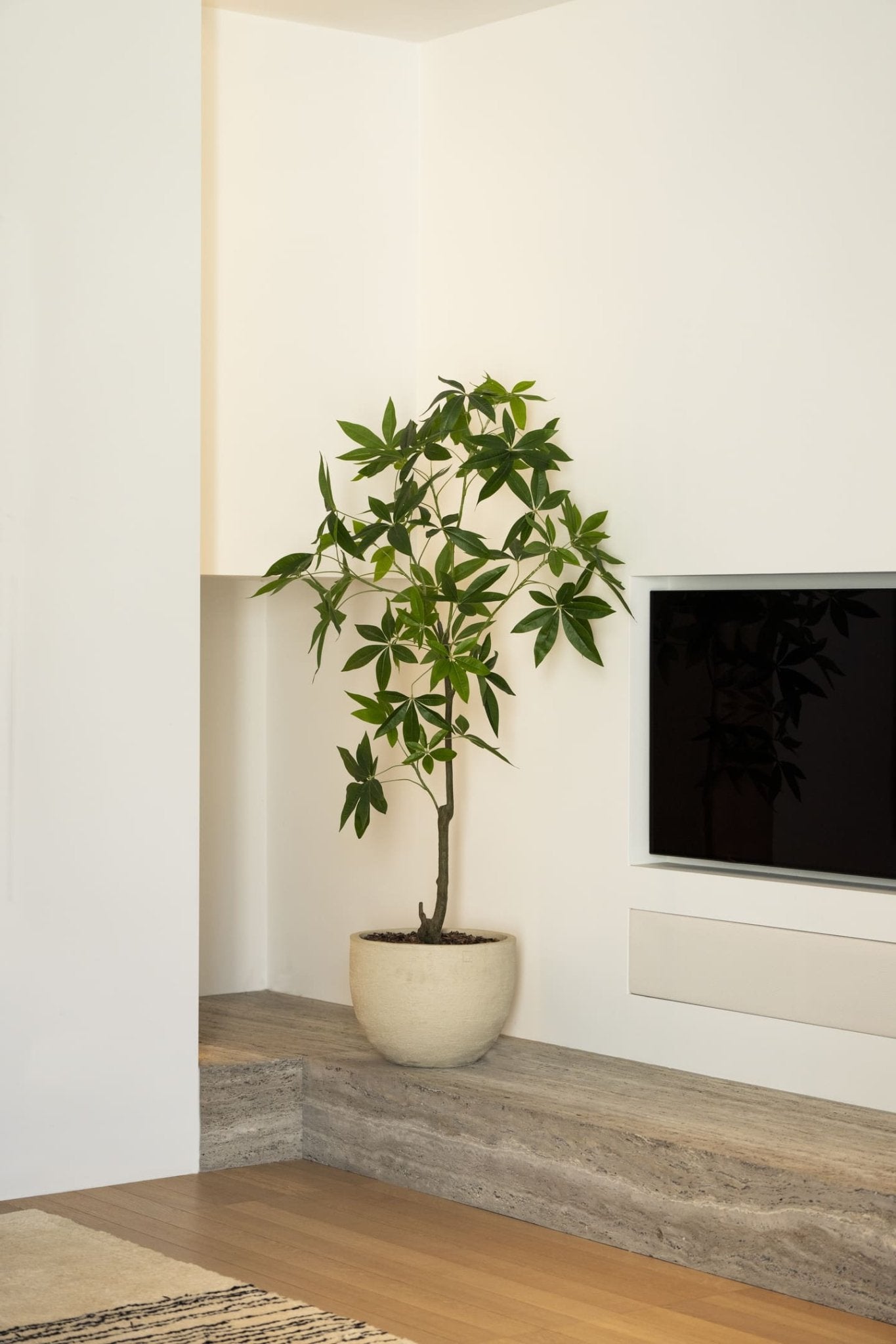 Schefflera boom 150cm - Luxe zijden bloemen boeket - Kunstbloemen van Sharon Flowers