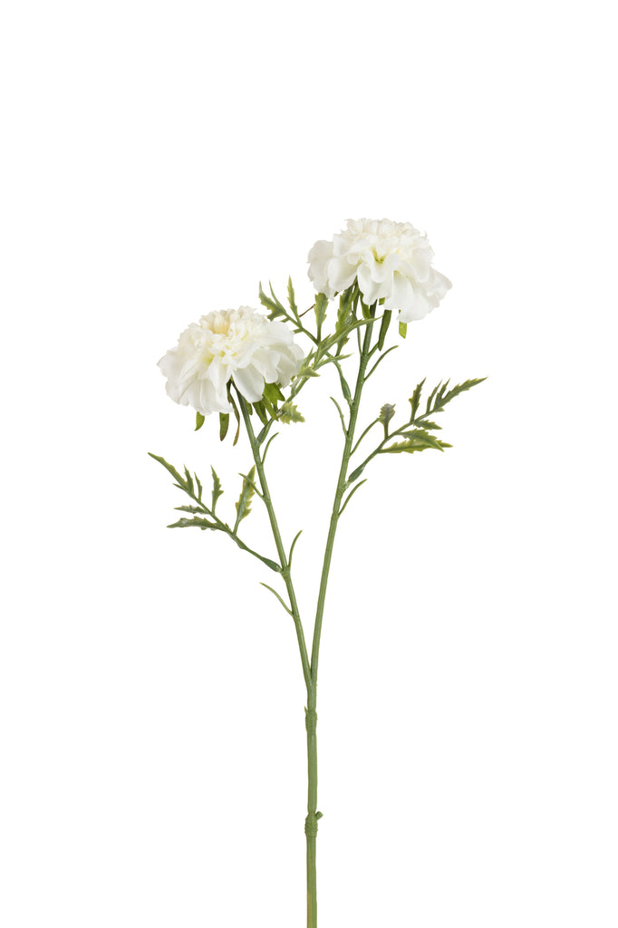 Small Scabious 2Parts Plastic White