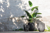 Strelitzia Green Small - Luxe zijden bloemen boeket - Kunstbloemen van Sharon Flowers