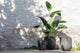 Strelitzia Green Small - Luxe zijden bloemen boeket - Kunstbloemen van Sharon Flowers