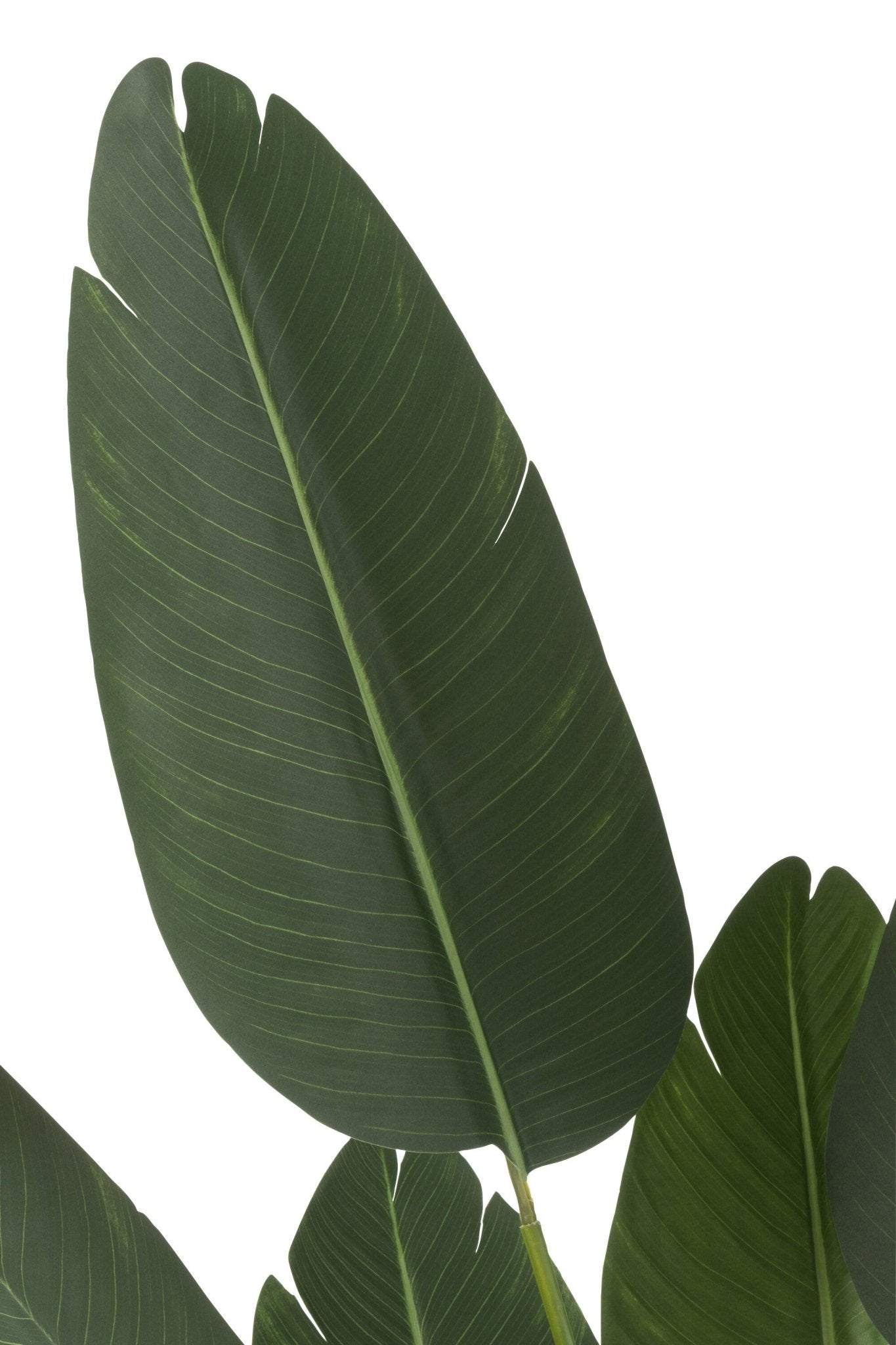 Strelitzia Green Small - Luxe zijden bloemen boeket - Kunstbloemen van Sharon Flowers