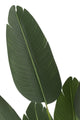 Strelitzia Green Small - Luxe zijden bloemen boeket - Kunstbloemen van Sharon Flowers