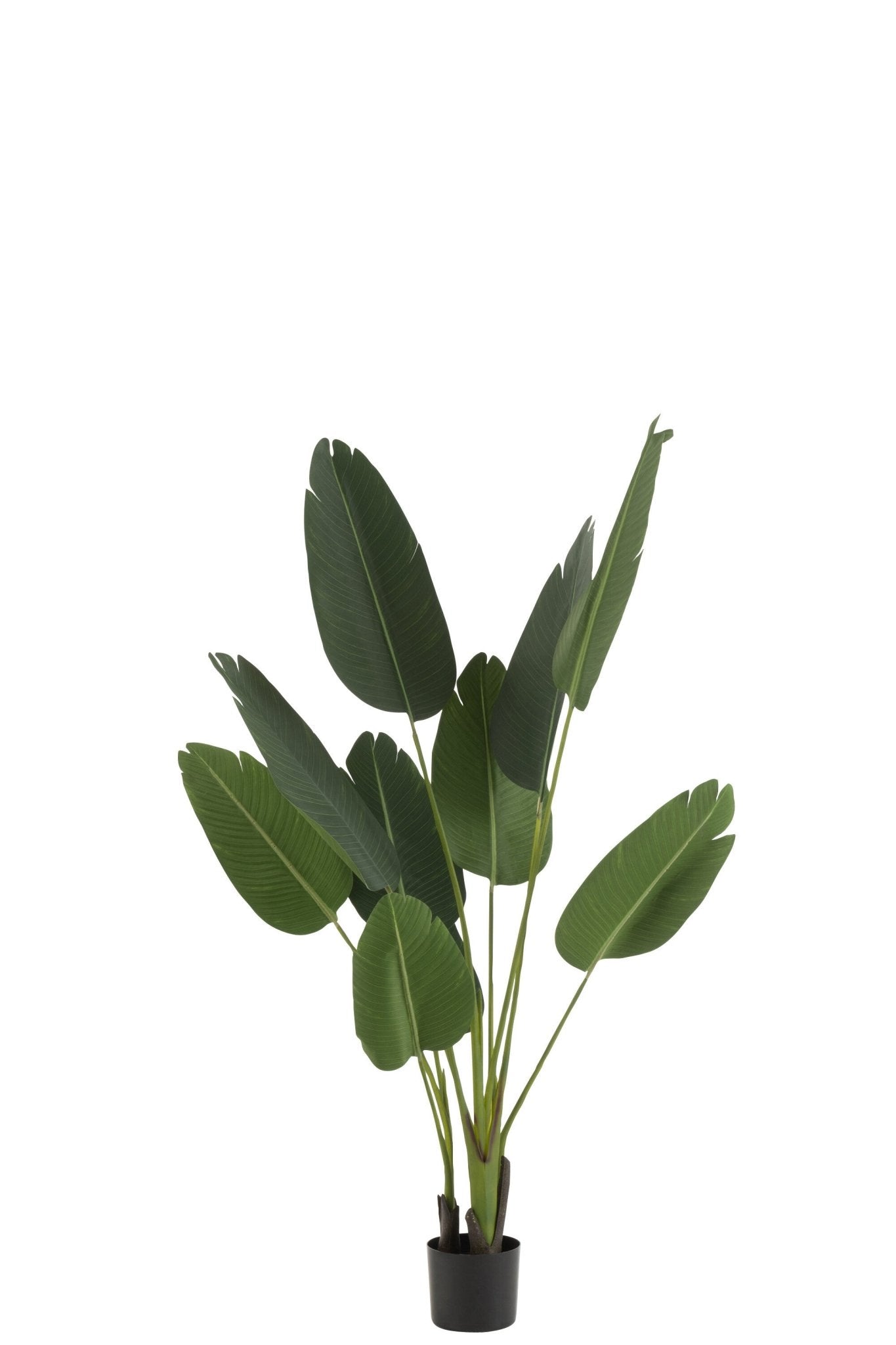 Strelitzia Green Small - Luxe zijden bloemen boeket - Kunstbloemen van Sharon Flowers