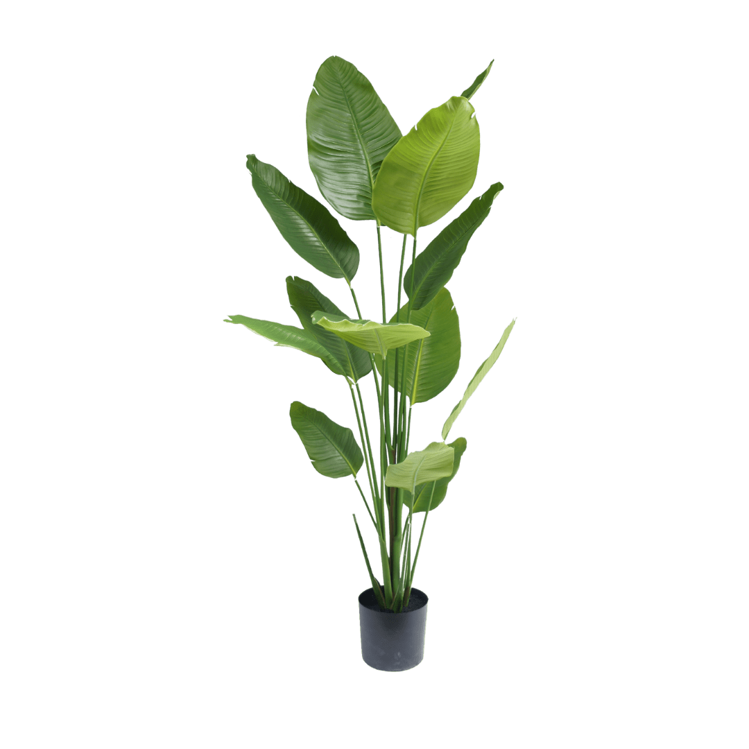 Strelitzia plant 180cm - Luxe zijden bloemen boeket - Kunstbloemen van Sharon Flowers