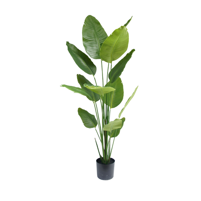 Strelitzia boom  - 180cm - kunstplant - zijdenplant
