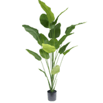 Strelitzia plant 210cm - Luxe zijden bloemen boeket - Kunstbloemen van Sharon Flowers