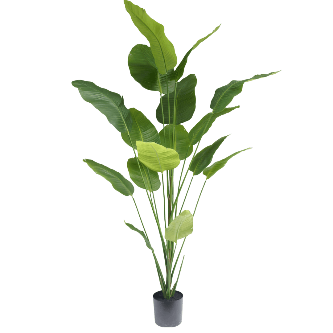 Strelitzia plant 210cm - Luxe zijden bloemen boeket - Kunstbloemen van Sharon Flowers