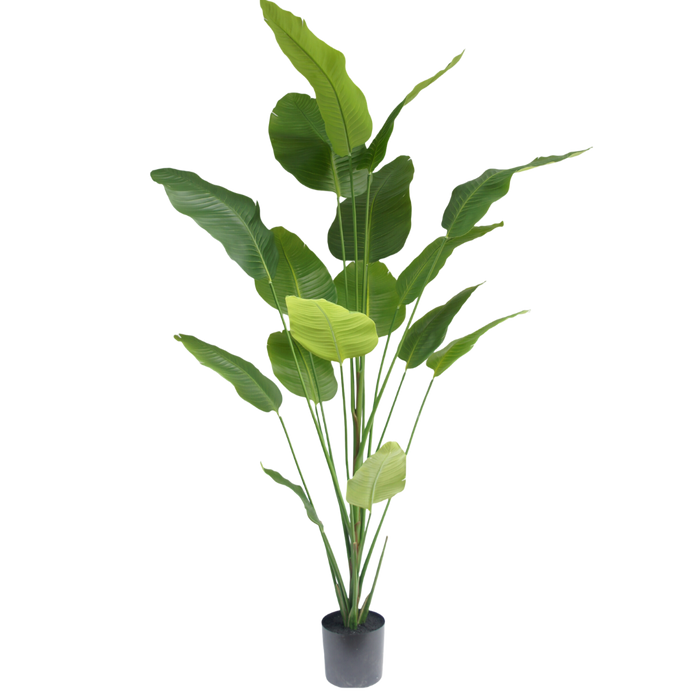 Strelitzia boom  - 210cm - kunstplant - zijdenplant