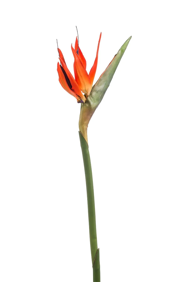 Strelitzia oranje 85cm- Zijden bloem - Kunst bloem -duurzaam