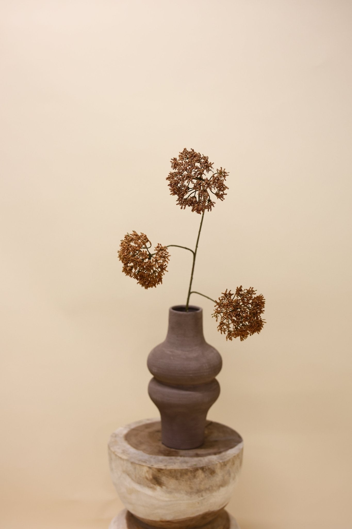 Trachelium tak bruin 85 cm - Luxe zijden bloemen boeket - Kunstbloemen van Sharon Flowers