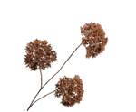 Trachelium tak bruin 85 cm - Luxe zijden bloemen boeket - Kunstbloemen van Sharon Flowers