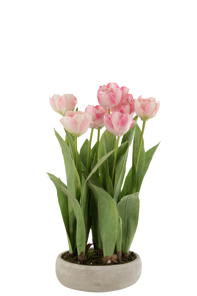 Tulips In Pot Cement Grey Plastic Pink/Green