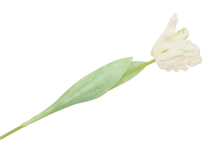 Silk tulip white 64cm - Zijden bloem - Kunst bloem -duurzaam