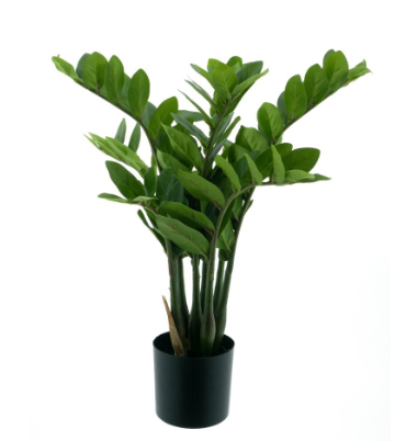 Zamioculcas zijden plant – 60 cm